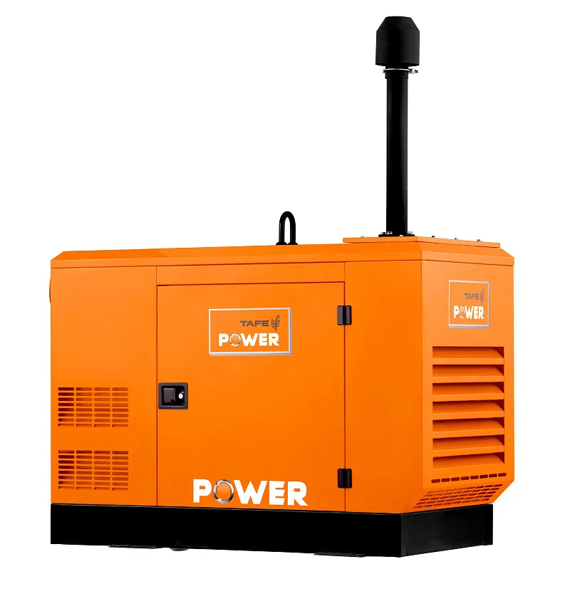 Дизельный генератор TAFE Power TAF-P-40W 1 фаза