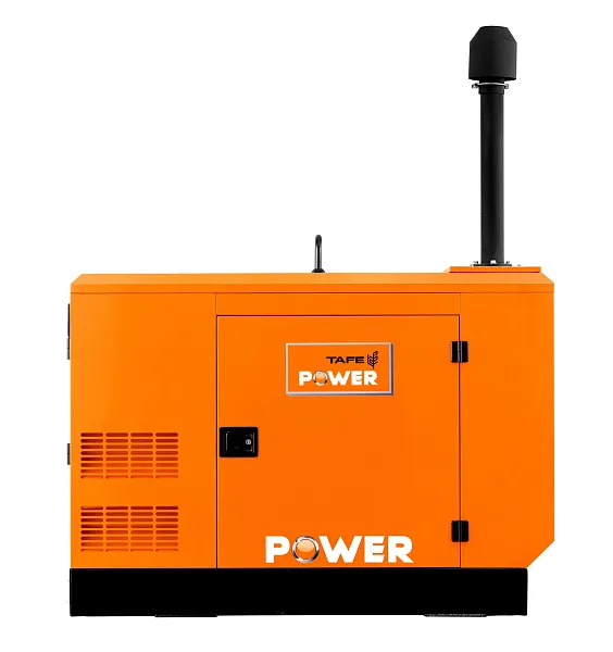 Дизельный генератор TAFE Power TAF-P-40W 1 фаза