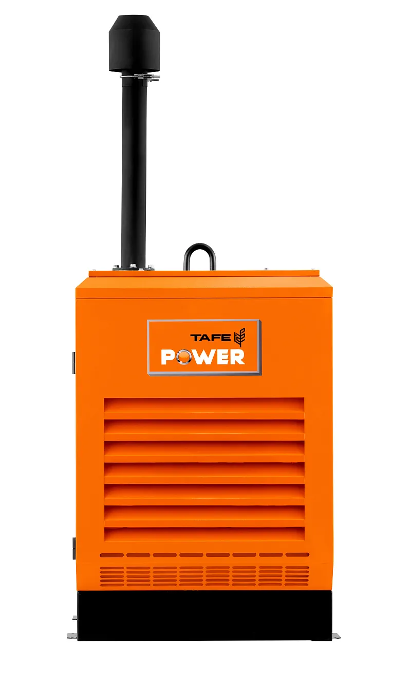 Дизельный генератор TAFE Power TAF-P-40W 1 фаза